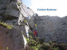 ... Joe Reville, Willie J. Whelan, Gerry Moss. Retrieved from \u0026#39;http://wiki.climbing.ie/index.php?title=Hawk_Rock/Cuckoo_Buttress\u0026amp;oldid=4719\u0026#39; - Cuckoo04