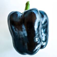 Afbeeldingsresultaat voor purple beauty sweet pepper