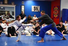 Image result for America's Best Karate