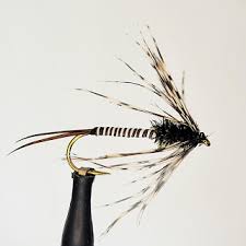 Image result for Kirkham and District Fly Fishers` Club