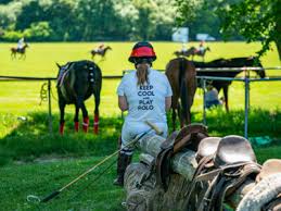 Image result for Woolmers Park Polo Club