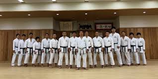 Image result for York University Karate Club