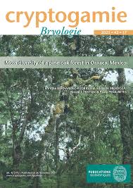 Attēlu rezultāti vaicājumam “Campylophyllum sommerfeltii”