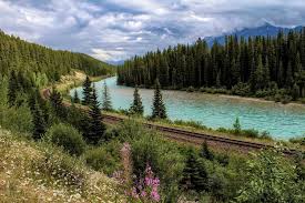 Résultat de recherche d'images pour "morant's curve"