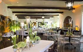 Image result for Bath Freediving Club