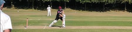 Image result for Flamingo Cricket Club