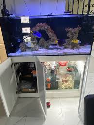 Image result for Peninsula Sub Aqua