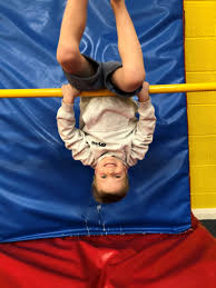 Image result for Harrogate School Of Gymnastics