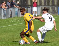 Image result for Afc Ewell