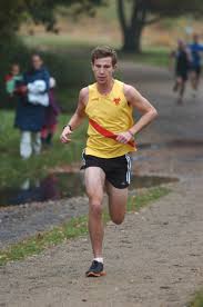 Image result for Hercules Wimbledon A C