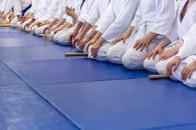 Image result for Highgate Martial Arts Academy