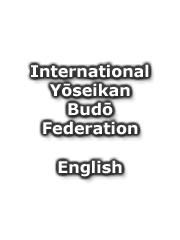 Image result for Yoseikan Budo England