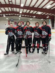 Image result for Pontypool Skater Hockey Club