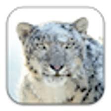 Image result for kernel panic snow leopard