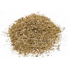 Attēlu rezultāti vaicājumam “Veronica officinalis fruit”