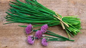 Image result for Schnittlauch