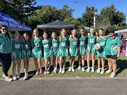 Image result for Ipswich Ladies Netball Club