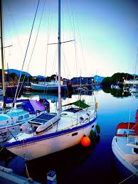 Image result for Porthmadog shooting range