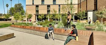 Image result for Dundee University I.R.H.C