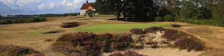 Image result for Reigate Heath Golf Club