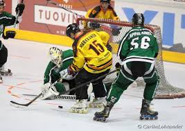 Image result for Team-Tigers Roller Hockey Club