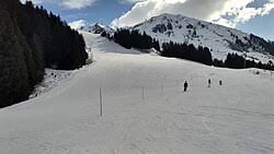 Image result for Eclipse Ski