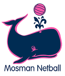 Image result for Meon Netball Club