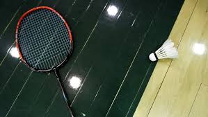 Image result for Wedmore Badminton Club