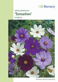 Image result for Schmuckkörbchen