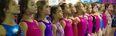 Image result for Elite Recreational Gymnastics Club
