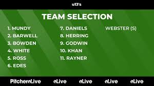 Image result for Calne Cricket Club