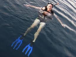 Image result for Dive Barracuda