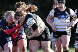 Image result for Ellingham and Ringwood Rugby Club