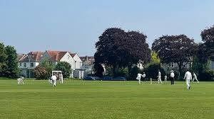 Image result for Harrow Cricket Club