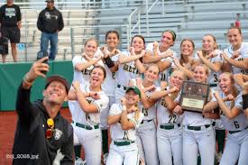 Image result for Dragons Softball Club