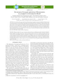 Attēlu rezultāti vaicājumam “Oligonema flavidum”