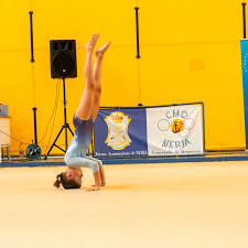 Image result for Lynx Gymnastics Club