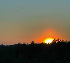 Attēlu rezultāti vaicājumam “pollen corona”