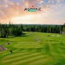 Image result for Avondale Gc