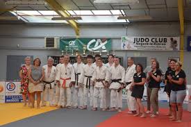 Image result for Micklefield Judo Club