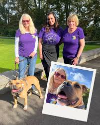 Image result for Greville Smyth Bowls Club