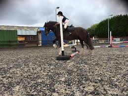 Image result for Liverpool Equestrian Club
