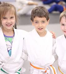 Image result for COURT FIELDS karate Academy