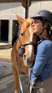 Image result for Shey Copse Riding Centre