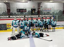 Image result for Thirsk Hockey Club