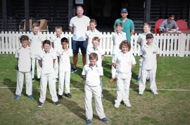 Image result for Bere Regis Cricket Club
