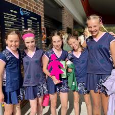 Image result for Pink Ladies Netball Club
