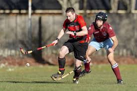 Image result for Lochcarron Camanachd