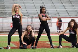 Image result for Devizes Dazzlers