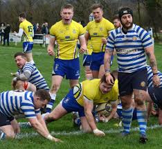 Image result for Halifax Vandals Rugby Union Football Club